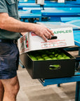 Pink Lady™ Apples (Yarrambat PS)
